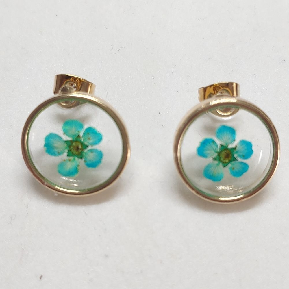 Earrings Rose Gold Circle w/ Dried Teal Flowers